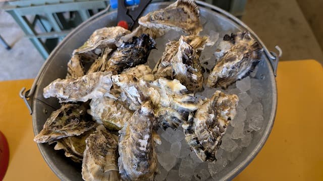 鹿児島県鹿児島市のかき小屋１８５