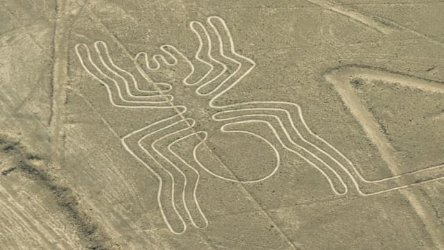 ペルー・イカのナスカの地上絵（蜘蛛）