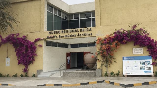 ペルー・イカのイーカ博物館