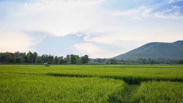 タイ・チェンマイ市街