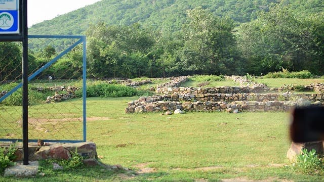 インド・ラージギルのジーバカのマンゴー園