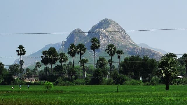 インド・ブッダガヤの前正覚山