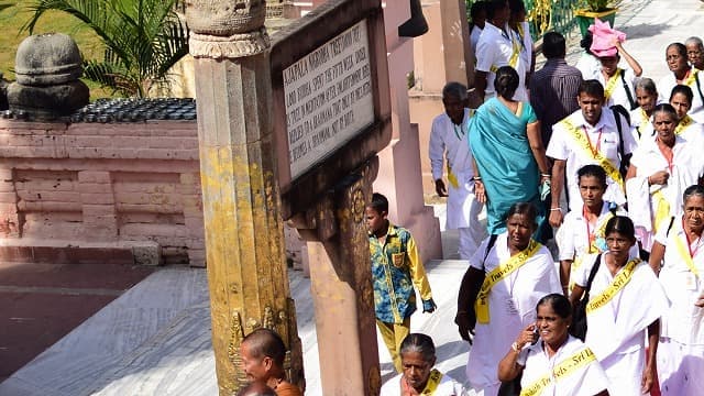 インド・ブッダガヤのマハーボディー寺院（大菩提寺）アジャパラ・ニグローダ樹