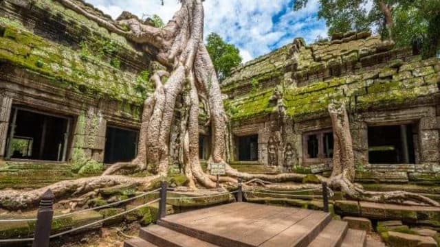 カンボジア・シェムリアップのタ・プローム