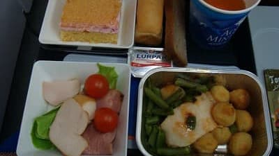 機内食:AEROFLOT モスクワ→成田