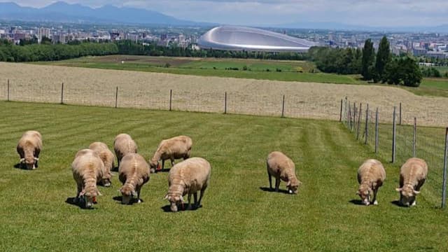 北海道札幌市の羊ヶ丘展望台
