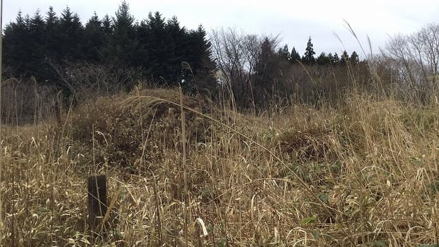 北海道函館市の古武井熔鉱炉跡