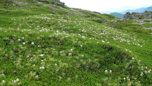 北海道函館市の恵山