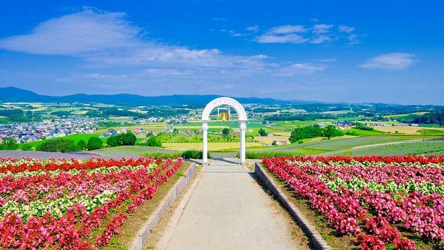北海道富良野市の日の出公園