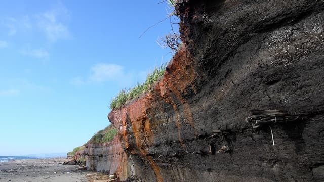 青森県つがる市の出来島埋没林