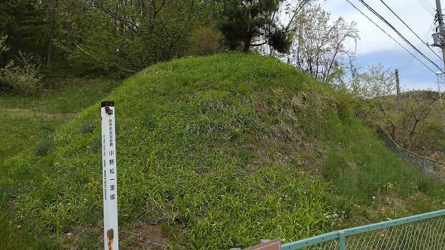 岩手県盛岡市の小野松一里塚