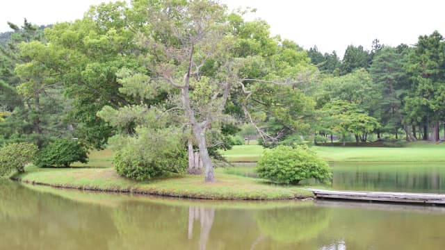 岩手県西磐井郡の観自在王院跡