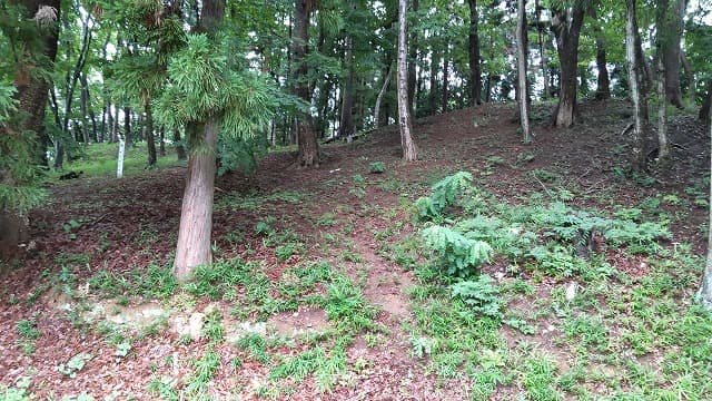 宮城県名取市の飯野坂古墳群（観音塚古墳）