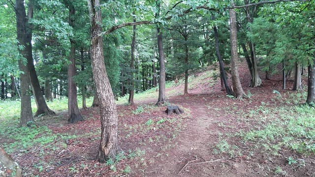 宮城県名取市の飯野坂古墳群（宮山古墳）