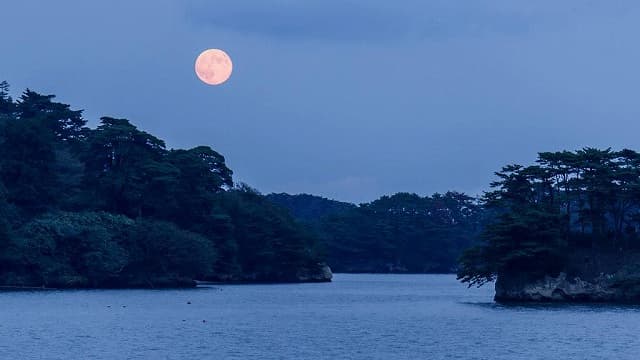 宮城県宮城郡の松島