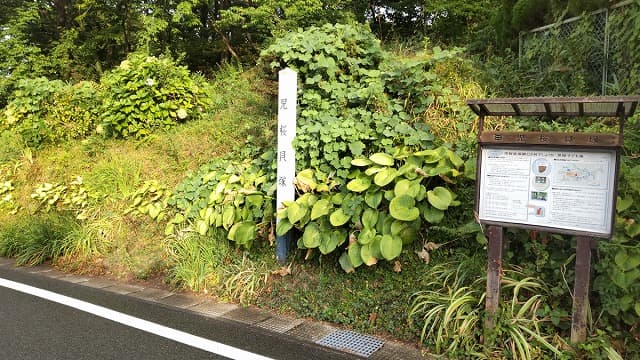 秋田県秋田市の児桜貝塚