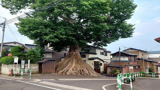 秋田県湯沢市の一里塚
