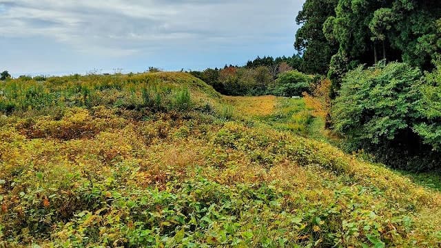 秋田県にかほ市の山根館跡
