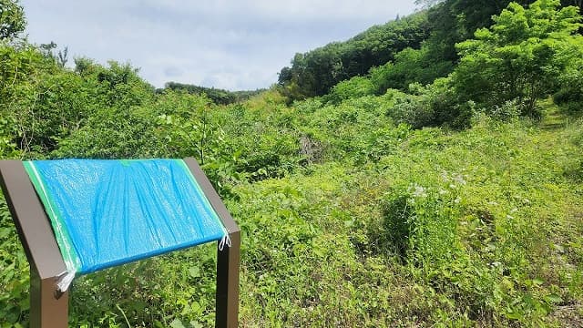 福島県白河市の天王山遺跡