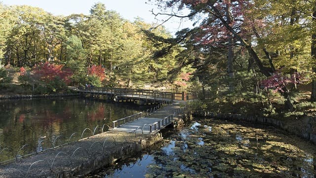 福島県須賀川市の須賀川の牡丹園
