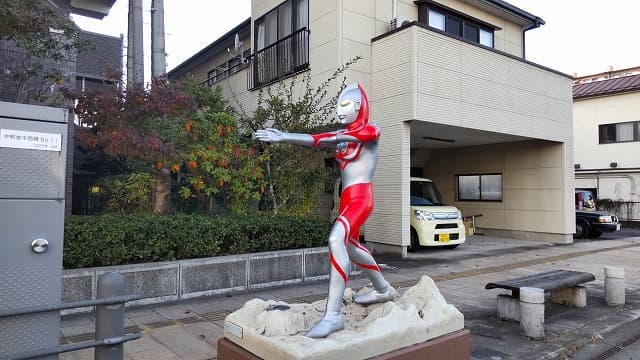 福島県須賀川市の松明通り