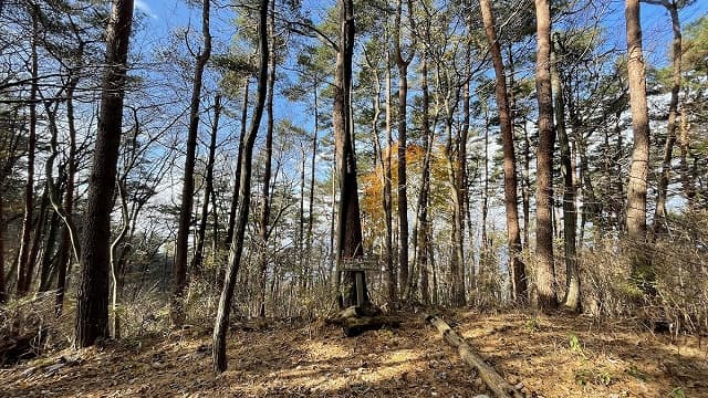 福島県二本松市の木幡山
