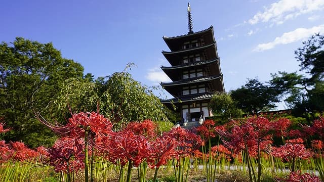 福島県二本松市の安達ヶ原ふるさと村