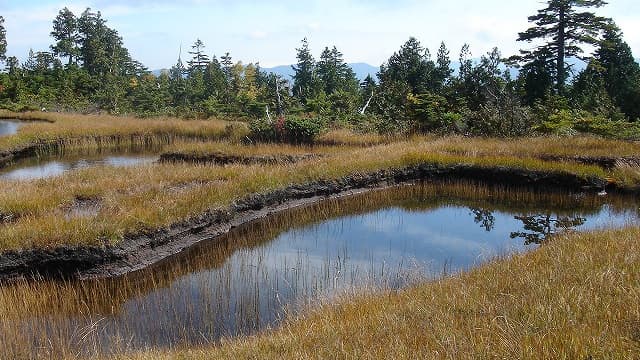 福島県南会津郡の高層湿原と池塘