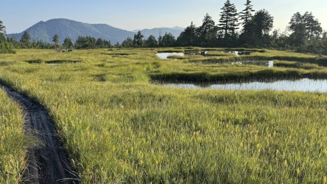 福島県南会津郡の広沢田代