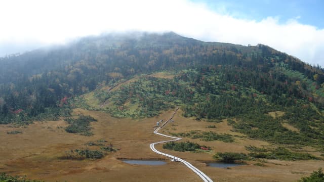 福島県南会津郡の熊沢田代