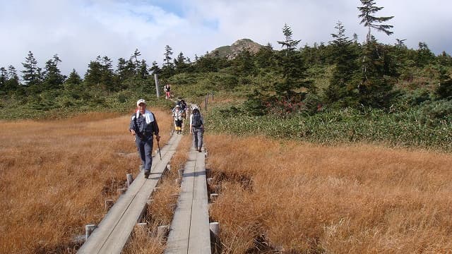 群馬県利根郡のオヤマ沢田代