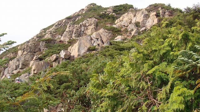 群馬県利根郡の小至仏山
