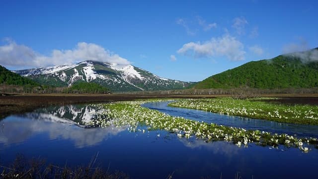 福島県南会津郡の尾瀬ヶ原