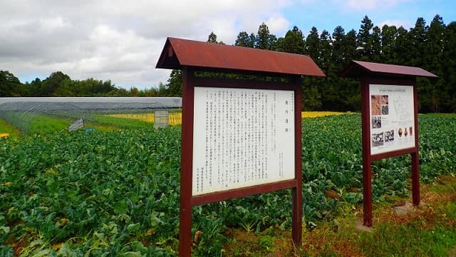 福島県石川郡の鳥内遺跡