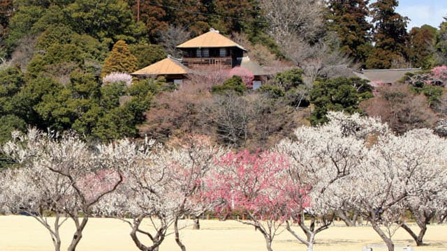 茨城県の常磐公園