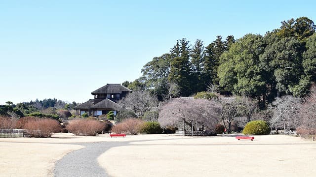 茨城県水戸市の偕楽園