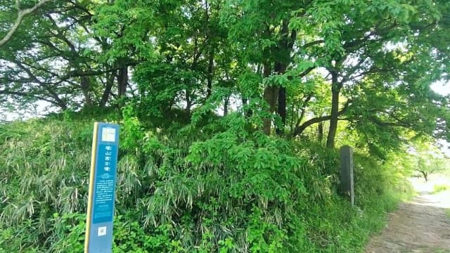 栃木県宇都宮市の塚山西古墳