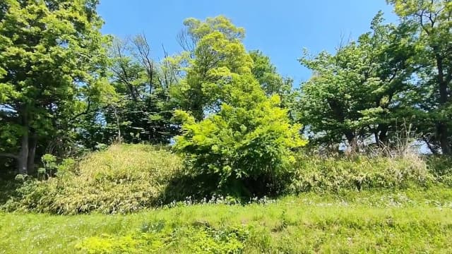 栃木県宇都宮市の塚山南古墳