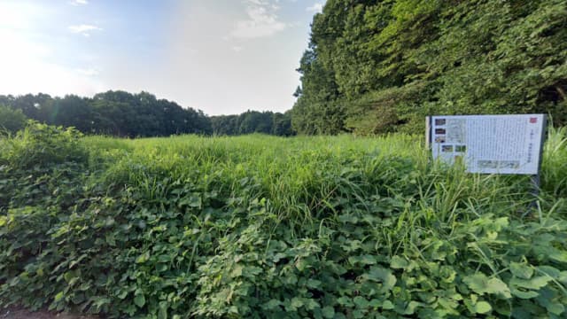 栃木県宇都宮市の上神主・茂原官衙遺跡
