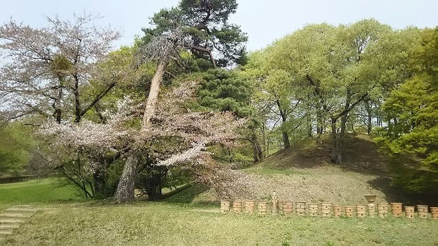 群馬県前橋市の中二子古墳