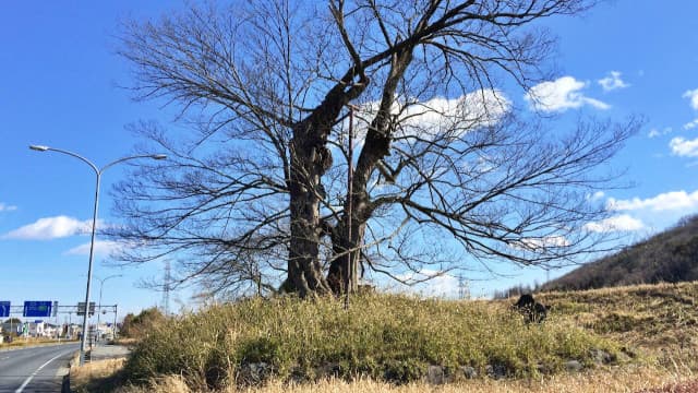 群馬県高崎市の藤塚一里塚跡