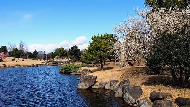群馬県伊勢崎市の伊勢崎市みらい公園
