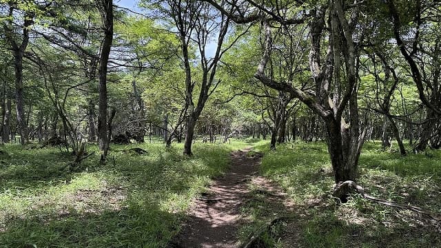 群馬県甘楽郡の皇朝最古修武之地