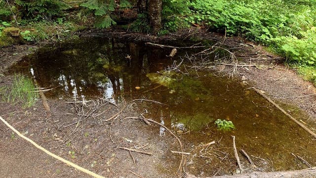 群馬県利根郡の日光白根山の血の池地獄