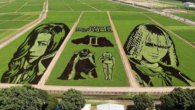 埼玉県行田市の世界最大の田んぼアート
