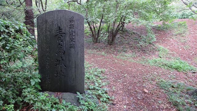 埼玉県東松山市の青鳥城跡
