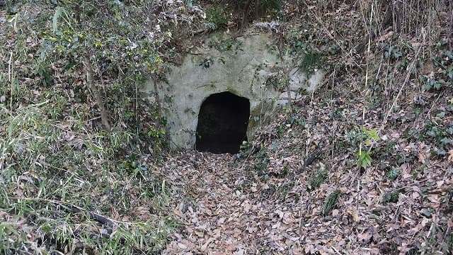 埼玉県比企郡の天神山横穴墓群