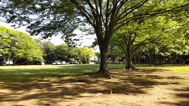 千葉県習志野市の伊藤新田・谷津遊園跡