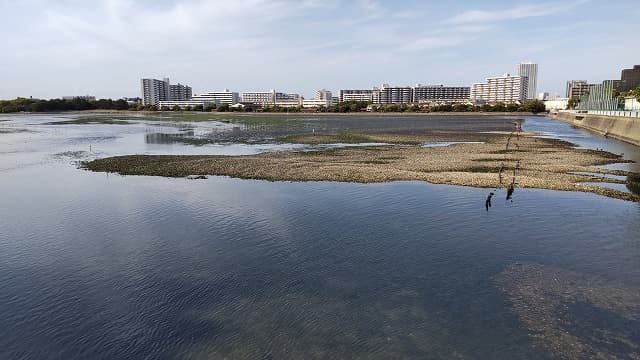 千葉県習志野市の谷津干潟