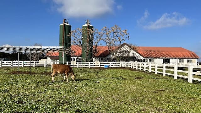 千葉県富津市のマザー牧場